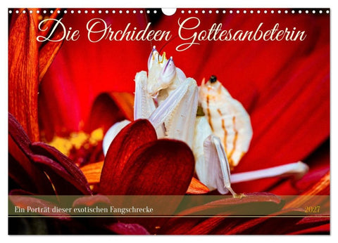 Die Orchideen Gottesanbeterin (Wandkalender 2027 DIN A3 quer), CALVENDO Monatskalender