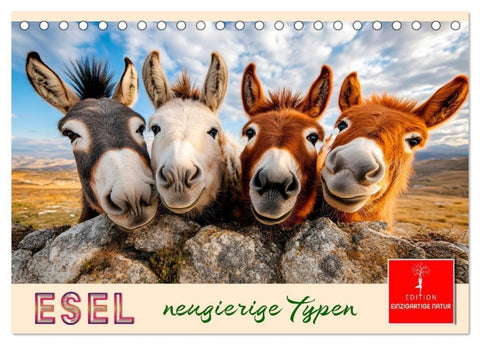 Esel - neugierige Typen (Tischkalender 2027 DIN A5 quer), CALVENDO Monatskalender