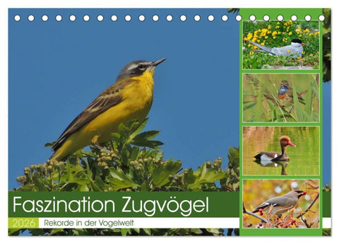 Faszination Zugvögel - Rekorde in der Vogelwelt (Tischkalender 2026 DIN A5 quer), CALVENDO Monatskalender