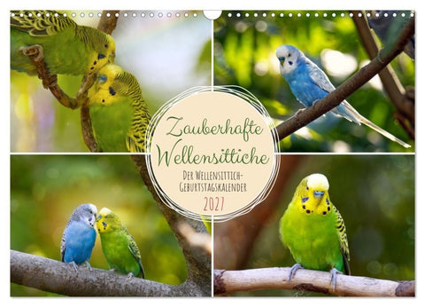 Zauberhafte Wellensittiche (Wandkalender 2027 DIN A3 quer), CALVENDO Monatskalender
