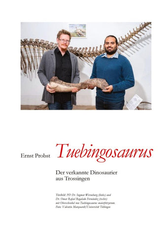 Tuebingosaurus