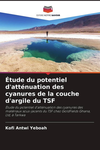 Étude du potentiel d'atténuation des cyanures de la couche d'argile du TSF