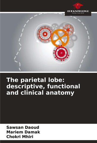 The parietal lobe: descriptive, functional and clinical anatomy