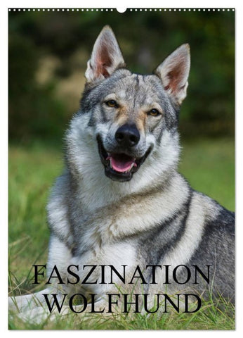Faszination Wolfhund (Wandkalender 2026 DIN A2 hoch), CALVENDO Monatskalender