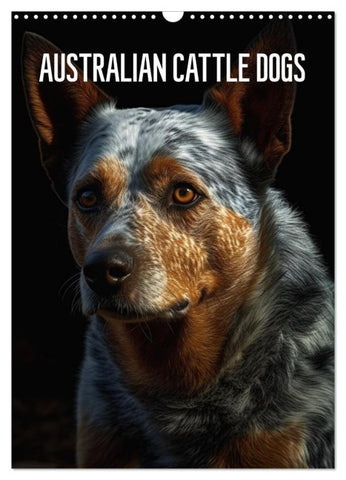 Australian Cattle Dogs (Wandkalender 2027 DIN A3 hoch), CALVENDO Monatskalender