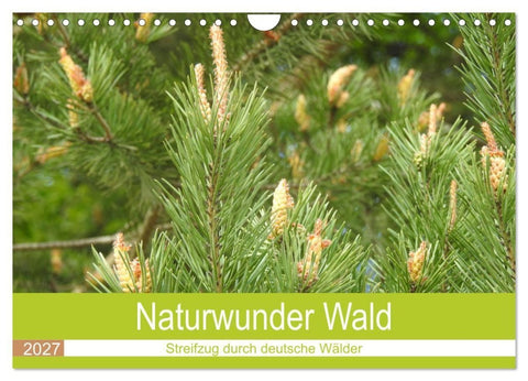 Naturwunder Wald (Wandkalender 2027 DIN A4 quer), CALVENDO Monatskalender