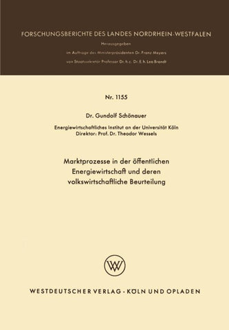 Marktprozesse in der öffentlichen Energiewirtschaft und deren volkswirtschaftliche Beurteilung