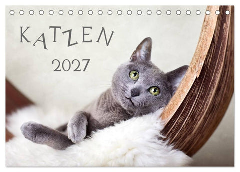 Katzen 2027 (Tischkalender 2027 DIN A5 quer), CALVENDO Monatskalender