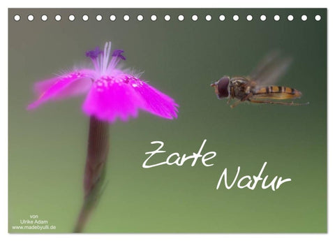 Zarte Natur 2027 (Tischkalender 2027 DIN A5 quer), CALVENDO Monatskalender