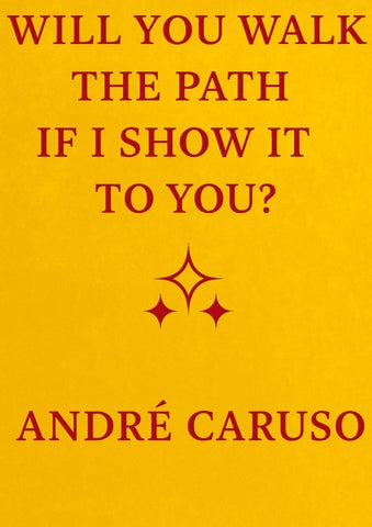 WILL YOU WALK THE PATH IF I SHOW IT TO YOU ?