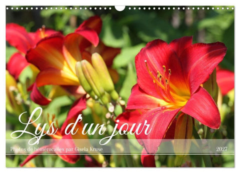 Lys d'un jour (Calendrier mural 2027 DIN A3 vertical), CALVENDO calendrier mensuel