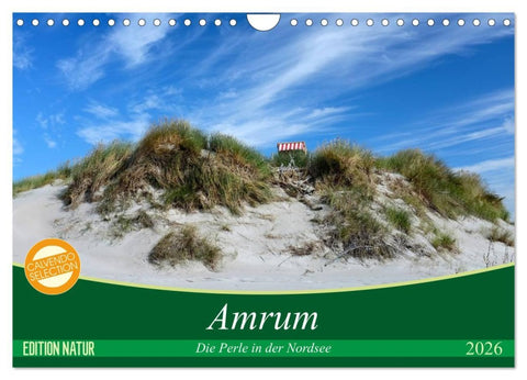 Amrum, die Perle in der Nordsee (Wandkalender 2026 DIN A4 quer), CALVENDO Monatskalender