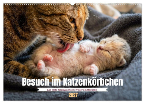Besuch im Katzenkörbchen (Wandkalender 2027 DIN A2 quer), CALVENDO Monatskalender