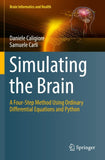 Simulating the Brain