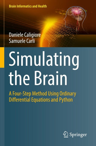 Simulating the Brain