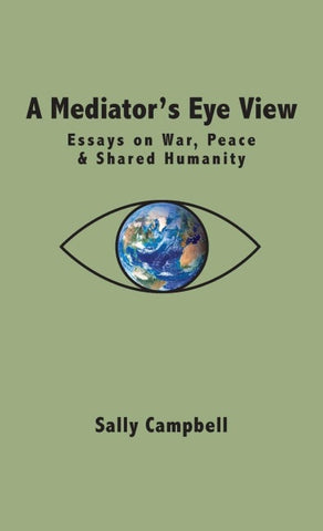 A Mediator's Eye View