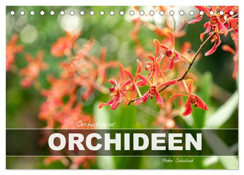 Orchidaceae - Orchideen (Tischkalender 2027 DIN A5 quer), CALVENDO Monatskalender