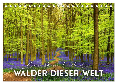 Eine Reise durch die Wälder dieser Welt (Tischkalender 2027 DIN A5 quer), CALVENDO Monatskalender
