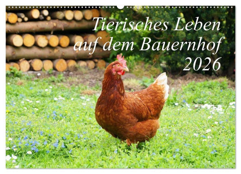 Tierisches Leben auf dem Bauernhof 2026 (Wandkalender 2026 DIN A2 quer), CALVENDO Monatskalender