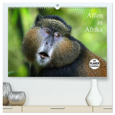 Affen in Afrika (hochwertiger Premium Wandkalender 2026 DIN A2 quer), Kunstdruck in Hochglanz