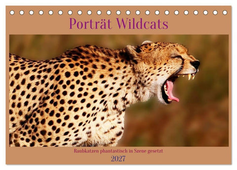 Porträt Wildcats (Tischkalender 2027 DIN A5 quer), CALVENDO Monatskalender