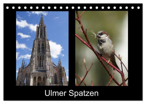 Ulmer Spatzen (Tischkalender 2027 DIN A5 quer), CALVENDO Monatskalender