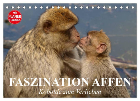 Faszination Affen. Kobolde zum Verlieben (Tischkalender 2026 DIN A5 quer), CALVENDO Monatskalender