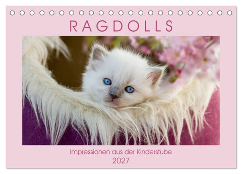 RAGDOLLS Impressionen aus der Kinderstube (Tischkalender 2027 DIN A5 quer), CALVENDO Monatskalender