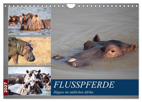 Hippos im südlichen Afrika (Wandkalender 2027 DIN A4 quer), CALVENDO Monatskalender