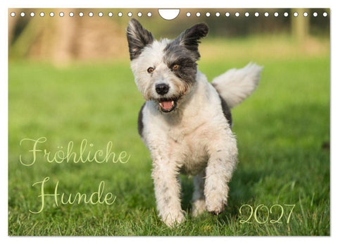 Fröhliche Hunde (Wandkalender 2027 DIN A4 quer), CALVENDO Monatskalender