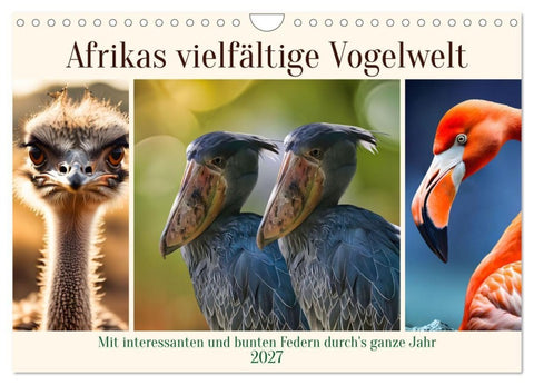 Afrikas vielfältige Vogelwelt (Wandkalender 2027 DIN A4 quer), CALVENDO Monatskalender