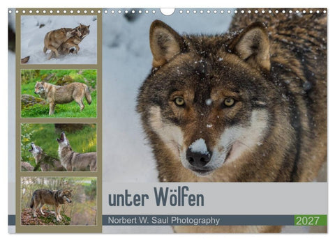 unter Wölfen (Wandkalender 2027 DIN A3 quer), CALVENDO Monatskalender
