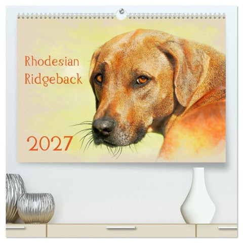 Rhodesian Ridgeback 2027 (hochwertiger Premium Wandkalender 2027 DIN A2 quer), Kunstdruck in Hochglanz