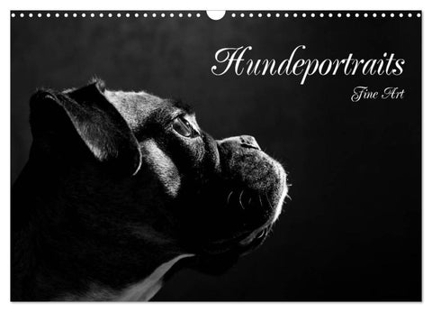 Hundeportraits Fine Art (Wandkalender 2027 DIN A3 quer), CALVENDO Monatskalender
