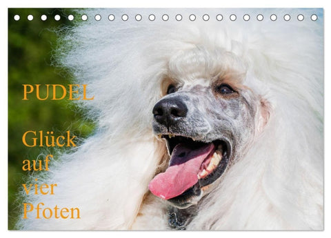 Pudel - Glück auf vier Pfoten (Tischkalender 2027 DIN A5 quer), CALVENDO Monatskalender