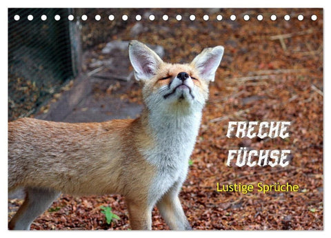 Freche Füchse - lustige Sprüche (Tischkalender 2027 DIN A5 quer), CALVENDO Monatskalender
