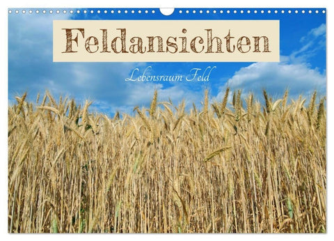 Feldansichten (Wandkalender 2027 DIN A3 quer), CALVENDO Monatskalender