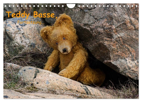Teddy Basse, Fortsetzung... (Wandkalender 2026 DIN A4 quer), CALVENDO Monatskalender