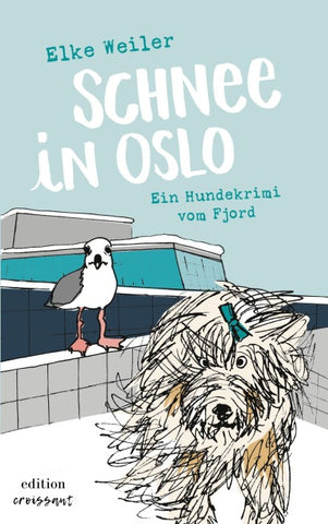 Schnee in Oslo