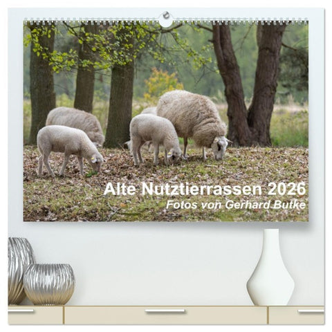 Alte Nutztierrassen 2026 (hochwertiger Premium Wandkalender 2026 DIN A2 quer), Kunstdruck in Hochglanz