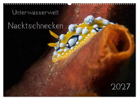 Unterwasserwelt Nacktschnecken (Wandkalender 2027 DIN A2 quer), CALVENDO Monatskalender
