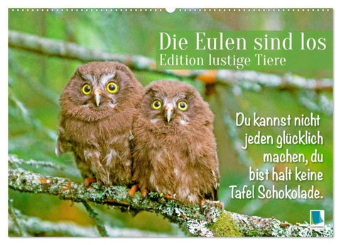 Die Eulen sind los: Edition lustige Tiere (Wandkalender 2027 DIN A2 quer), CALVENDO Monatskalender