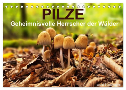 Pilze - Geheimnisvolle Herrscher der Wälder (Tischkalender 2026 DIN A5 quer), CALVENDO Monatskalender