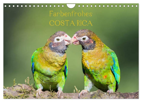Farbenfrohes Costa Rica (Wandkalender 2027 DIN A4 quer), CALVENDO Monatskalender