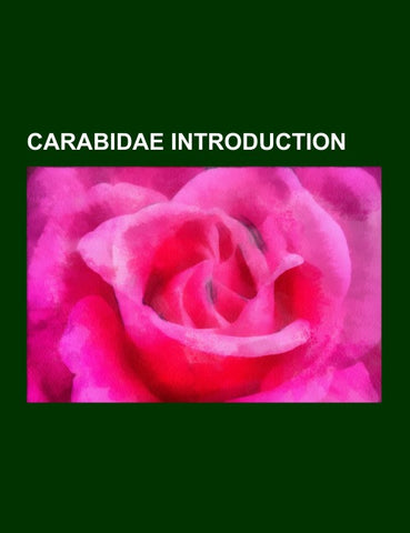 Carabidae Introduction