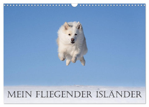 Mein fliegender Isländer (Wandkalender 2026 DIN A3 quer), CALVENDO Monatskalender
