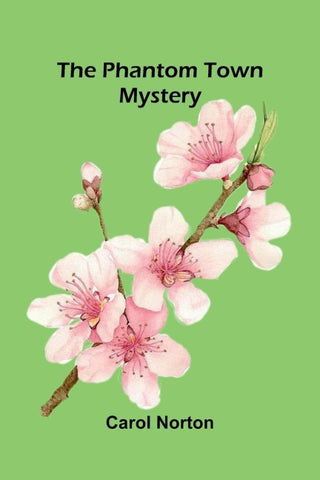 The Phantom Town Mystery