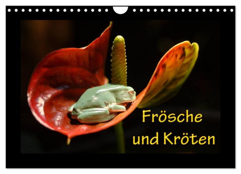 Frösche und Kröten (Wandkalender 2027 DIN A4 quer), CALVENDO Monatskalender