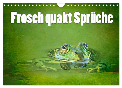 Frosch quakt Sprüche (Wandkalender 2026 DIN A4 quer), CALVENDO Monatskalender