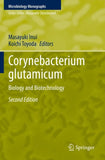 Corynebacterium glutamicum